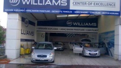 Williams arac koruma