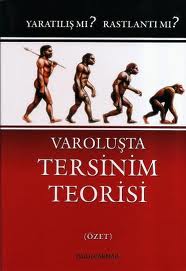 tersinim teorisi